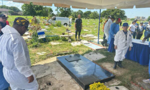 Registran 116 nuevos contagios sin muertos de covid-19 en el país