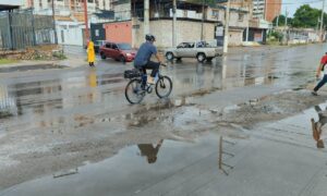 Regresa Avavit solo para profesionales del turismo