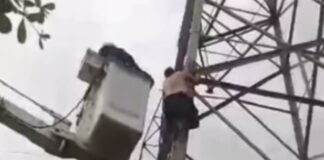 Liquidan a seis delincuentes en 17 horas
