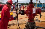 Se desnudan para protestar decisión arbitral