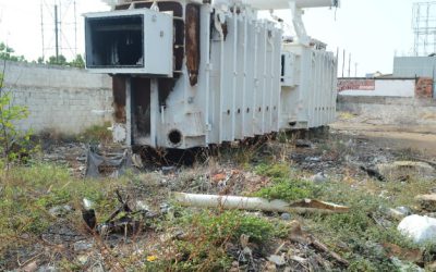 Plan de la Patria se aprovecha de 42 % de hectáreas sembradas