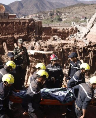 Águilas asegurará alrededor de 20 importados 