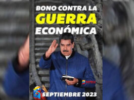 El Estado acumula 133 días sin incorporar MW térmicos