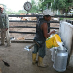 Familias de Bachaquero en riesgo de hundirse en aguas negras 