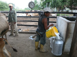 Protestan en Prados del Este por falta de agua