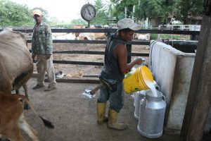 "Empezar otra vez de cero se me hacía muy difícil"