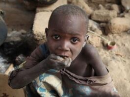 Defensa de narcosobrinos dice que testigos de la DEA mienten