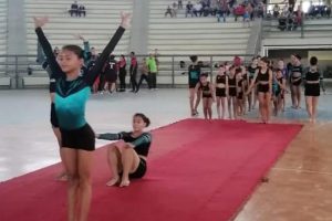 “La ideologización permea la reforma curricular de educación”