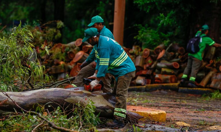 Milei viajará a Bahía Blanca tras temporal que dejó 13 muertos