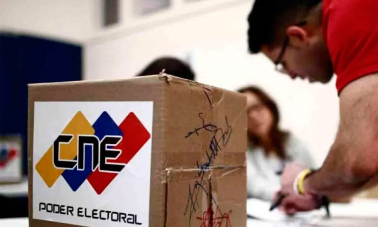 CNE no contempla hacer elecciones municipales pendientes para el 2024