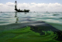 Hasta el 15-D puede haber revocatorio