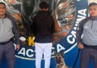 Piscinas verdes invanden casas en Santa Lucía