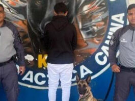 Caninos recorren la Vereda del Lago