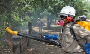 Despliegan operación nacional de fumigación contra el dengue