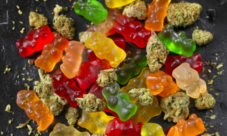 Bataclan reabre con Sting con medidas de seguridad extremas