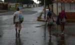 Guaco listo para llenar de sabor a Maracaibo