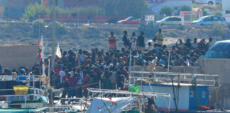 Producción de arroz no cubrirá la demanda