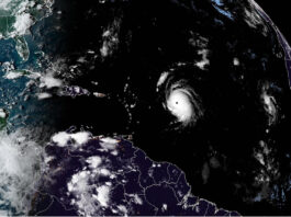 LVBP seguirá aplicando programa antidopaje