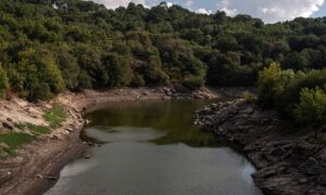 Alertan de contaminación de aguas con glifosato en la UE