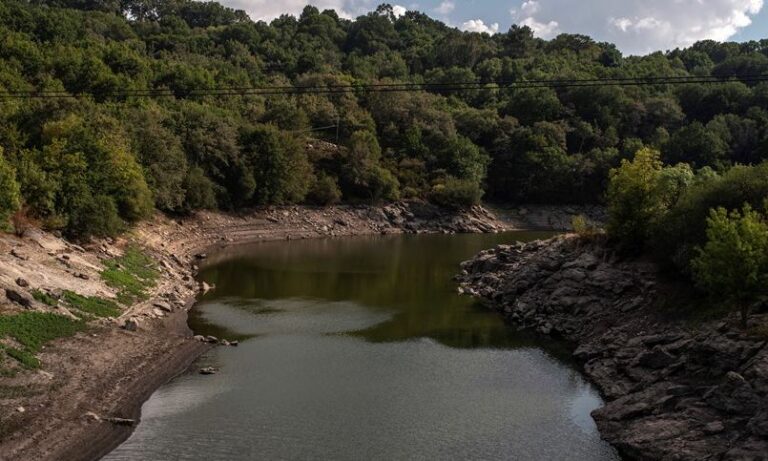 Alertan de contaminación de aguas con glifosato en la UE