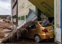 Se desploma  50 % producción  de alimentos  en el Zulia