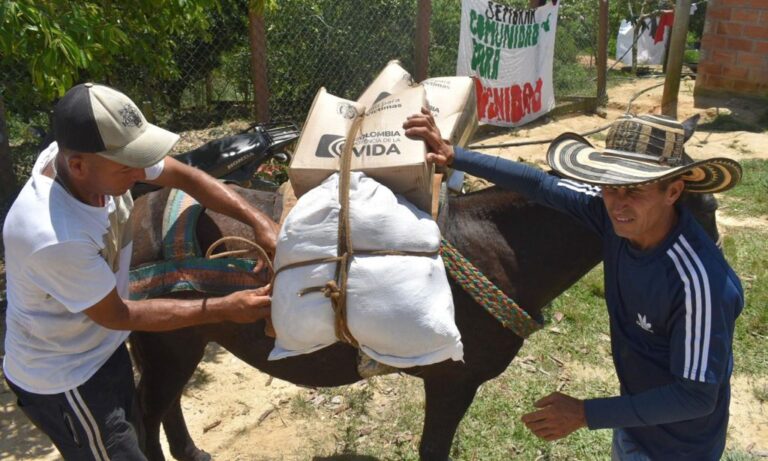 “Lo único que está llegando regulado es la harina PAN”