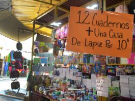 Solórzano denuncia “violencia de Estado” contra la mujer