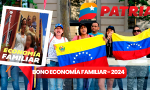 Pagan el bono Economía Familiar de enero a través del Sistema Patria