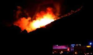 Incendios forestales afectan 265 hectáreas en Mérida