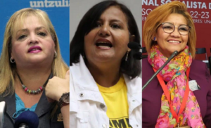 AN de 2015 ratifica directiva presidida por Dinorah Figuera