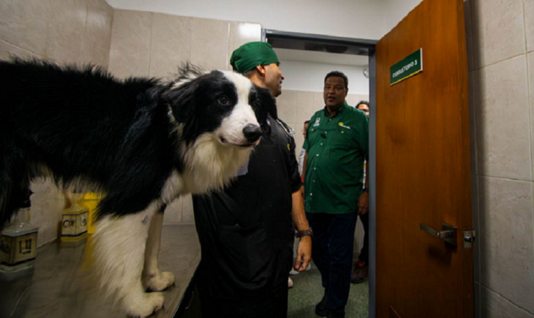 Amantes de mascotas celebran instalación del Centro de Atención Veterinaria