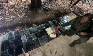 Zulia lidera en drogas incautadas en el país