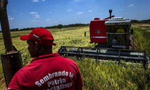 MinAgricultura: Esta semana se normalizará abastecimiento de diésel