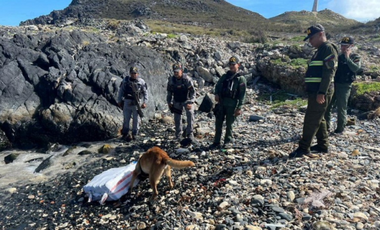 Hallan casi 35 kilos de marihuana en Los Roques