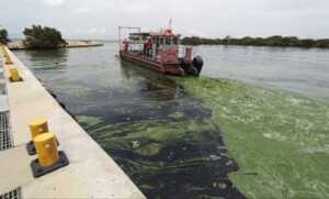 Extraen más de 140.000 toneladas de desechos del Lago en 6 meses