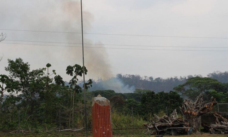 Reportan incendios en la Sierra de Perijá