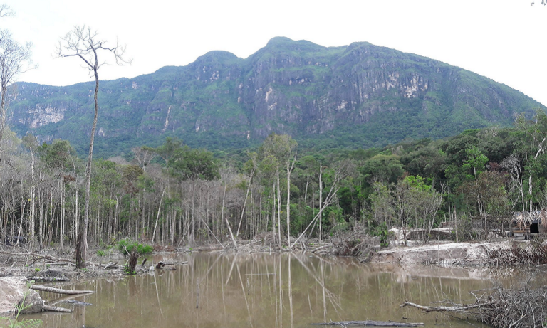 Denuncian aumento de minería ilegal en Yapacana tras operación militar