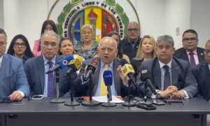 AD intervenida propone que presidenciales se celebren el 5 de julio