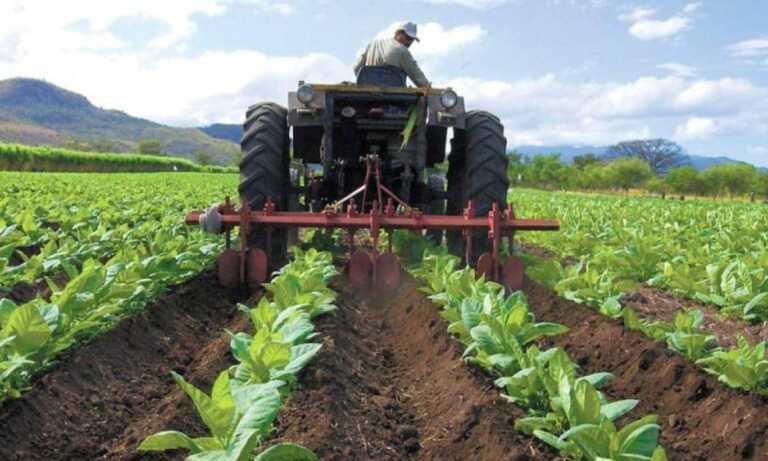 Aseguran que venta de combustible importado afectará al sector agrícola
