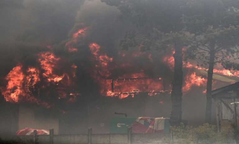 Aumentan a 122 los muertos en devastadores incendios de Chile