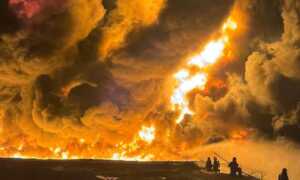 Controlan en 95 % incendio en empresa Terraven en la Lara-Zulia