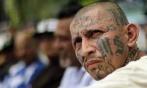 FBI advierte posible alianza entre “Tren de Aragua” y MS-13 en EE. UU.