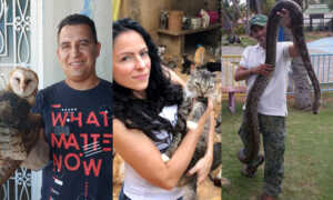 Rescatistas se unen para salvar vidas de animales en Maracaibo