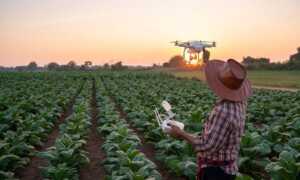 Construirán el primer Centro de Innovación Agrotecnológica del país