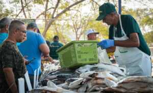 Feria del Pescado ofrece 10 especies del mar en diferentes puntos de Maracaibo