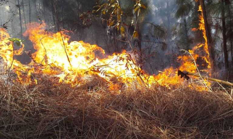 La NASA registra una cifra récord de incendios en el país