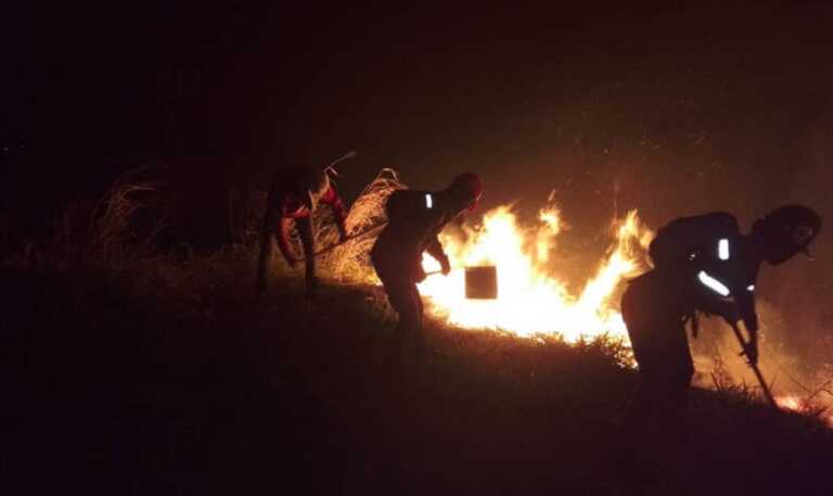 Detienen a 7 personas por provocar incendio en el parque nacional Henri Pittier