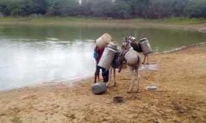 “Sed milenaria” obliga a residentes de la Guajira a recorrer largas distancias en burro