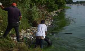 Recolectan muestras de agua y sedimento en el Lago de Maracaibo