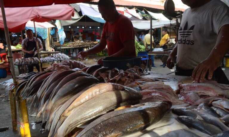Precios del kilo de pescado oscilan entre $ 3 y $ 7 en Maracaibo